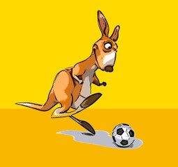 Fun kangaroo