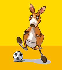 Fun kangaroo © Julien Tromeur