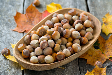 hazelnuts and autumn leaves