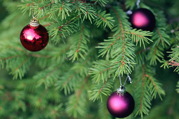 Christmas toy on a tree