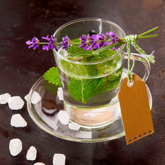 Fresh green Peppermint tea in a cup with an empty tag