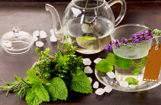 Herbs tisane and mint tea cup still life