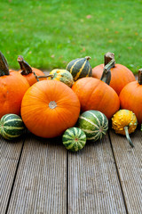 pumpkins