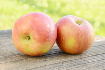 Two apples in garden