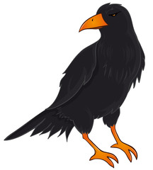 geheimnisvoller Rabe