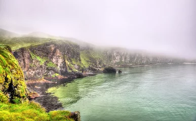 Foto op Canvas Rugged coastline of Ireland island near Ballintoy © Leonid Andronov