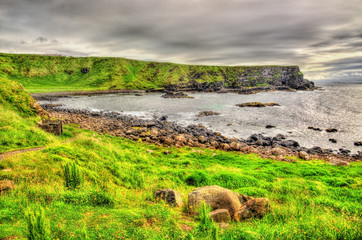 Obraz premium Irish coastline near the Giants Causeway, United Kingdom