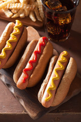 grilled hot dogs with mustard ketchup and french fries