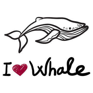 Hand drawn grunge illustration of whale, vector cute cartoon whale with words "i love whale". .