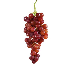grapes isolated on over white background.