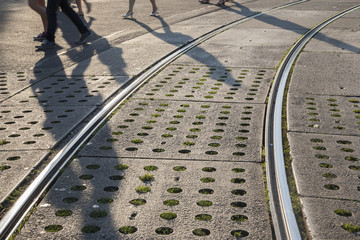 Tram Tracks in Sunlight