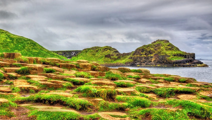 View of the Giant's Causeway, a UNESCO heritage site in Northern