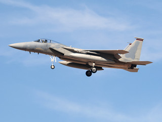 Fototapeta na wymiar Avión de combate F-15 Eagle