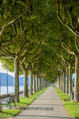 Esplanade au bord du lac du Bourget à Aix les Bains