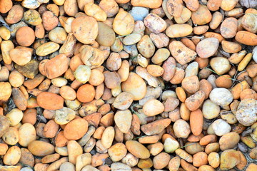 Stones in Garden
