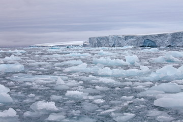 Arctic glacier
