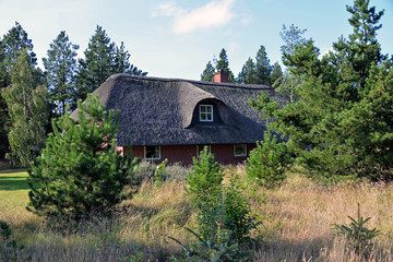 Reetgedecktes Ferienhaus in den Dünen von Houstrup Jütland