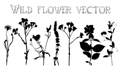 Silhouettes of wild flowers and leaves vector