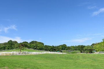 Obraz premium landscape of horse ranch