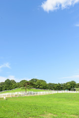 landscape of horse ranch