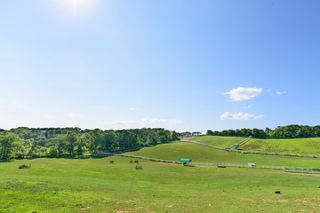 landscape of horse ranch