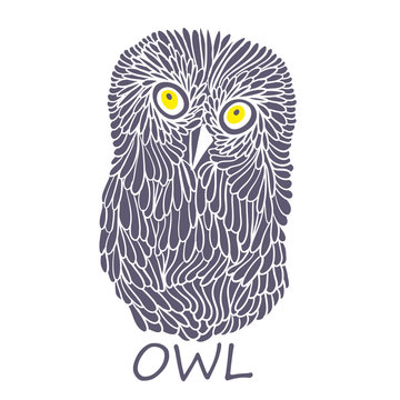 Doodle owl.