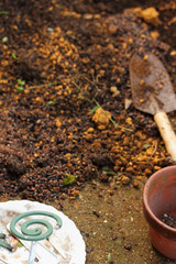 土作りと蚊取り線香