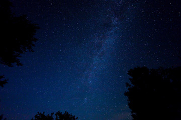 Night starry sky scene
