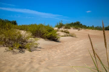 Fotobehang Следы в песчаных дюнах © soloviev_andrey