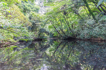 Gourd pond of Institute of Nature Study