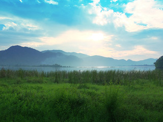 Fototapeta na wymiar Beautiful Meadow in Shiny Day