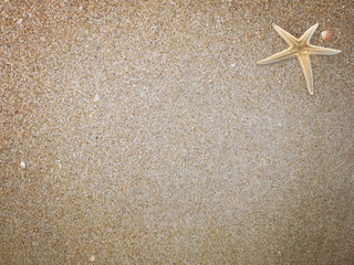 Simple Sand Background with Tiny Shell and Starfish