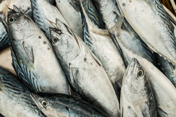 Obraz premium fresh fish at market on sale
