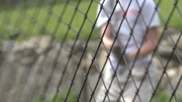 Boys baseball team at batting practice