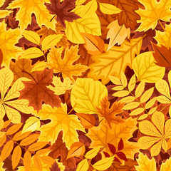 Seamless pattern with autumn colorful leaves. Vector illustration.