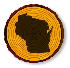 Fototapeta premium Wisconsin Map On Timber