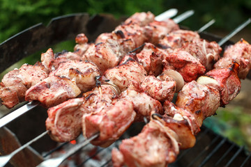 Barbecue roasted meat kebab hot grill, good snack outdoor picnic