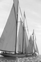 Obraz premium voiliers