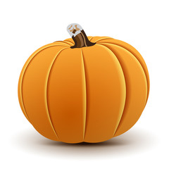 Vector Pumpkin Isolated on White