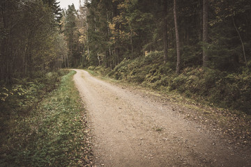 Rural small gravel road in finland - Powered by Adobe
