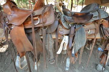 Horse saddles