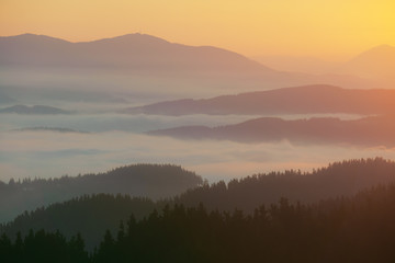 fog in the mountain valley