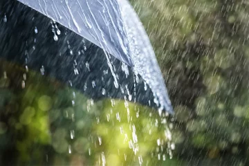 Fotobehang Rain on umbrella © Brian Jackson