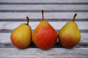 Three small pears in a row