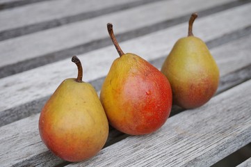 Three small pears in a row
