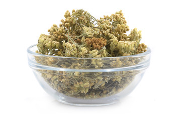 milfoil achillea © fotomaster