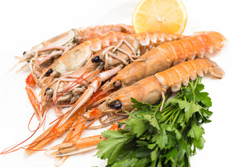 Aragostelle fresche 