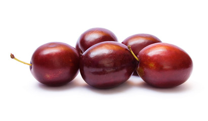 Violet plum