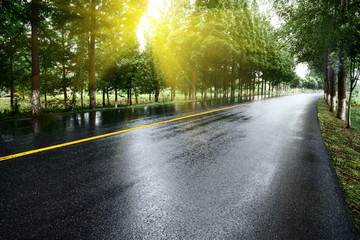 asphalt road with tree lawns under sunshine