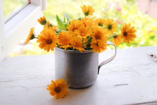 Fototapeta Bouquet of yellow flowers in the iron mug